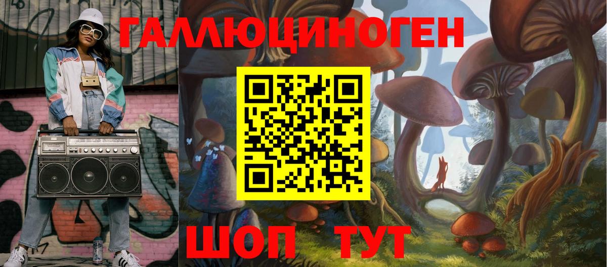 Новосибирск  Псилоцибиновые грибы прущие грибы  Вход с VPN  Галлюциногенные грибы GOLDEN TEACHER 