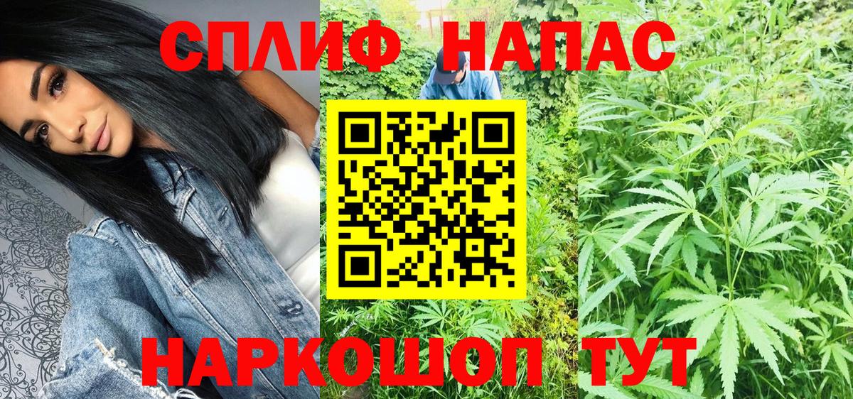 Канабис индика  Вход с VPN  Конопля LSD WEED  Конопля план  Новосибирск 